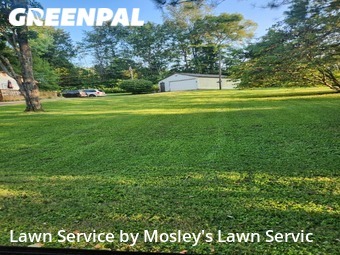Grass Cutting nearby Clarksville, TN, 