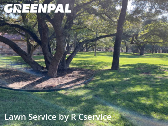 Lawn Mow nearby Georgetown, TX, 