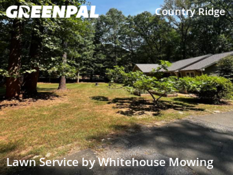 Lawn Maintenance nearby Raleigh, NC, 