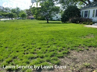 Lawn Maintenance nearby Minneapolis, MN, 