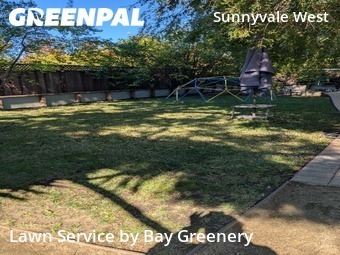Work completed by grass-cutting-businesses-in-Sunnyvale-CA
