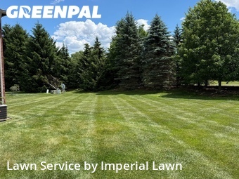 Lawn Cut nearby Canton, MI, 