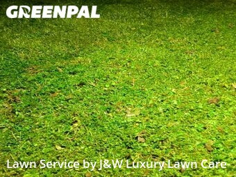Lawn Cutting nearby Rock Hill, SC, 