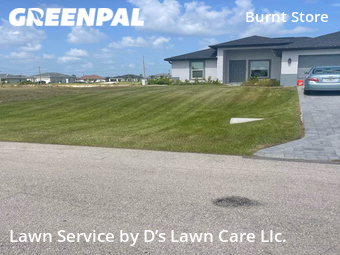 Grass Cut nearby Cape Coral, FL, 