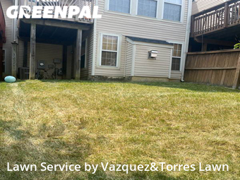 Yard Cutting nearby Bowie, MD, 