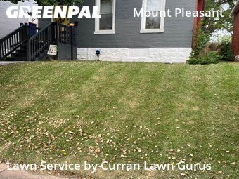 Lawn Mow nearby St. Louis, IL, 