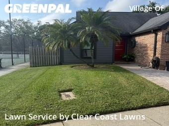 Grass Cutting nearby Palm Harbor, FL, 
