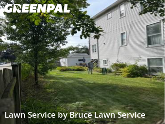Lawn Maintenance in Forest Park, 60130, Garden Trimming by Bruce Lawn Service, work completed in Nov , 2025