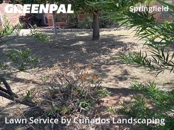 Lawn Mowing Service nearby Lubbock, TX, 