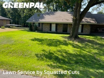 Lawn Mow nearby Lafayette, LA, 