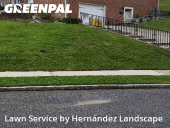 Lawn Mow nearby Springfield Township, PA, 