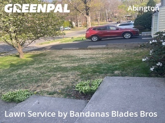 Grass Cutting nearby Willow Grove, PA, 