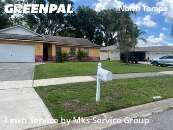 Grass Cutting in Lake Magdalene, 33618, Mowing Services by Mks Service Group, work completed in Dec , 2025