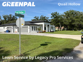 Grass Cut nearby Wesley Chapel, FL, 