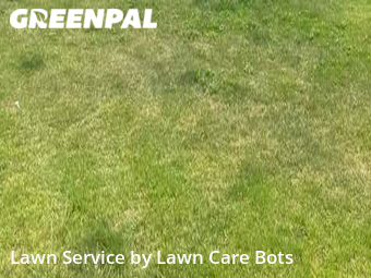 Lawn Cut nearby Pemberton Township, NJ, 