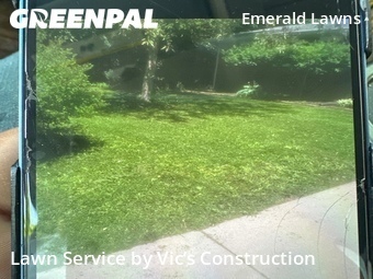 Grass Cut nearby Joliet, IL, 