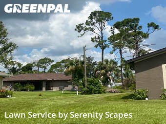Grass Cutting nearby North Port, FL, 