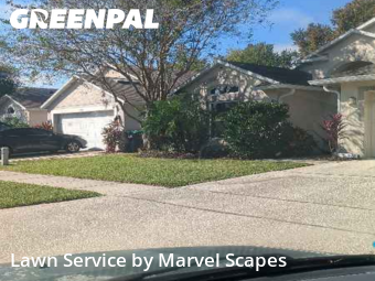 Grass Cut nearby Orlando, FL, 