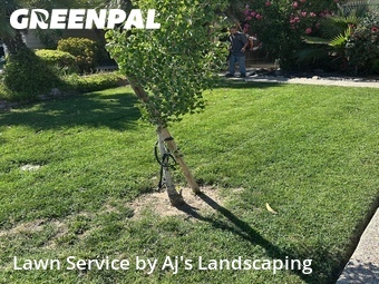 Lawn Mowing nearby Tracy, CA, 