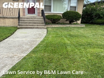 Lawn Care nearby South Holland, IL, 