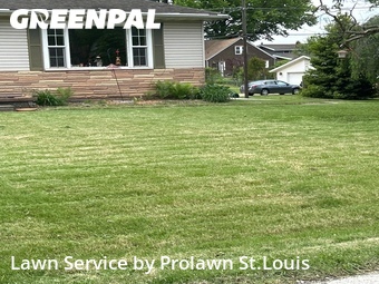 Lawn Mow nearby Alton, MO, 