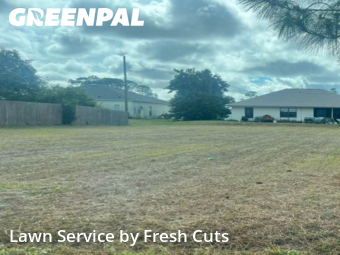Yard Cutting nearby Palm Bay, FL, 