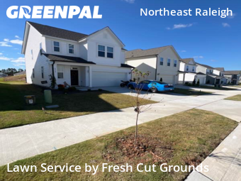 Lawn Cut nearby Raleigh, NC, 