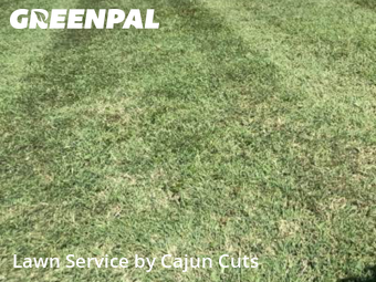 Lawn Maintenance nearby Murfreesboro, TN, 
