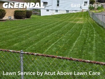 Lawn Care nearby Carnegie, PA, 