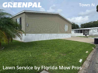 Lawn Mow nearby Tampa, FL, 