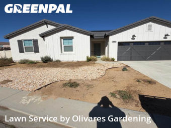 Yard Mowing in Lancaster, 93536, Yard Upkeep by Olivares Gardening , work completed in Nov , 2025