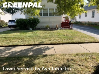 Lawn Care nearby Lansing, IL, 