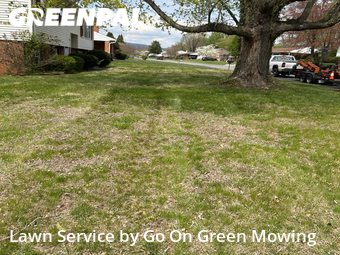 Lawn Mow nearby Hollins, VA, 