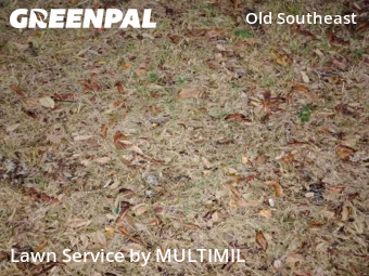 Affordable Landscaping In St. Petersburg,33705,Landscapers by MULTIMIL , work completed in Dec , 2025