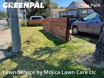 Grass Cutting nearby Sacramento, CA, 