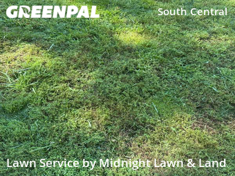 Lawn Care Service nearby Omaha, NE, 