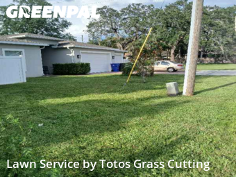Grass Cuttingin Ocoee,34761,Lawn Mow by Totos Grass Cutting, work completed in Nov , 2025