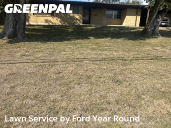 Lawn Maintenance nearby River Oaks, TX, 