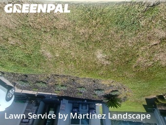 Yard Mowing nearby Apopka, FL, 