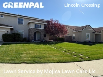 Work completed by local-landscaping-services-in-Lincoln-CA
