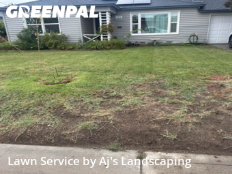 Work completed by lawn-care-experts-in-Manteca-CA