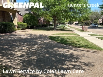 Yard Cutting nearby Frisco, TX, 