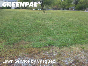 Grass Cut nearby Hendersonville, TN, 
