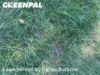 Lawn Mow nearby Lee's Summit, MO, 