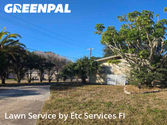 Grass Cutin Dunedin,34698,Lawn Maintenance by Etc Services Fl, work completed in Jan , 2026