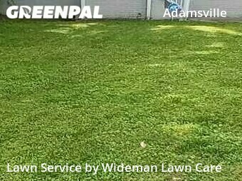 Lawn Mowing Service nearby Atlanta, GA, 