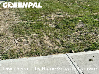 Yard Cutting nearby Hamilton, OH, 