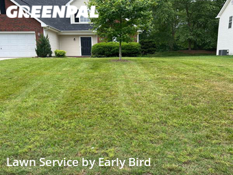 Lawn Cut nearby Indian Trail, NC, 