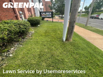 Lawn Mow nearby St. Louis, MO, 