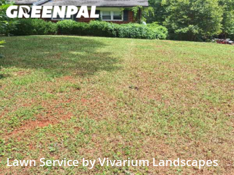 Lawn Mowing nearby Mount Holly, NC, 